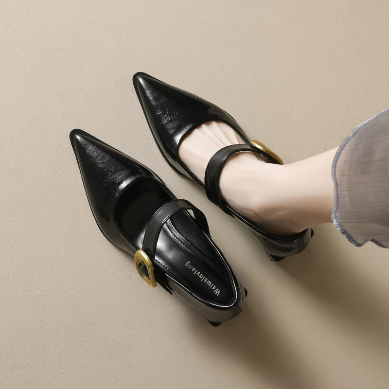 Women French Pointed Toe Mary Jane Shoes Block Heel 2025 Single Strap Zpaxo