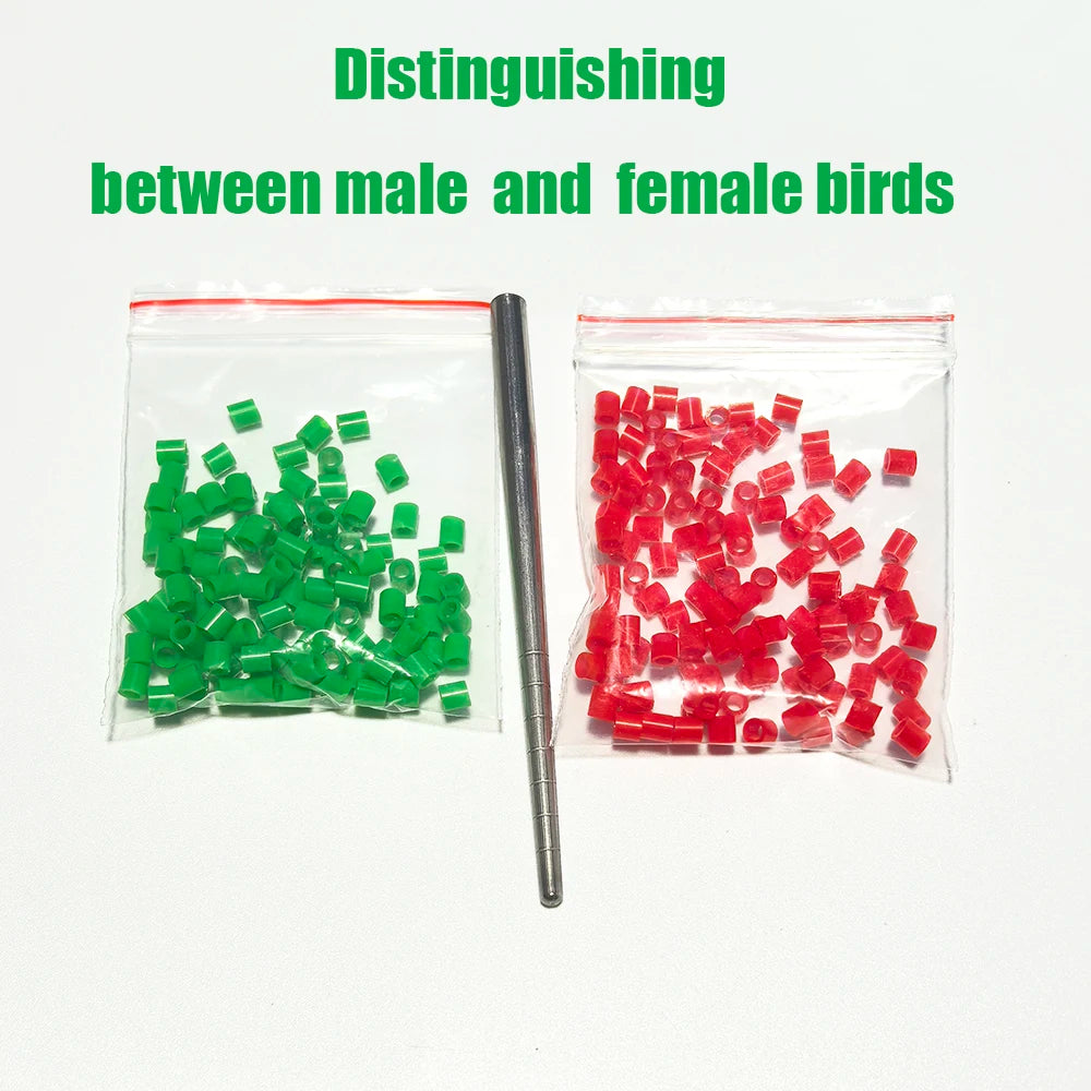 Bird Foot Rings Parrot Finch Canary Gouldian Ring Leg Bands