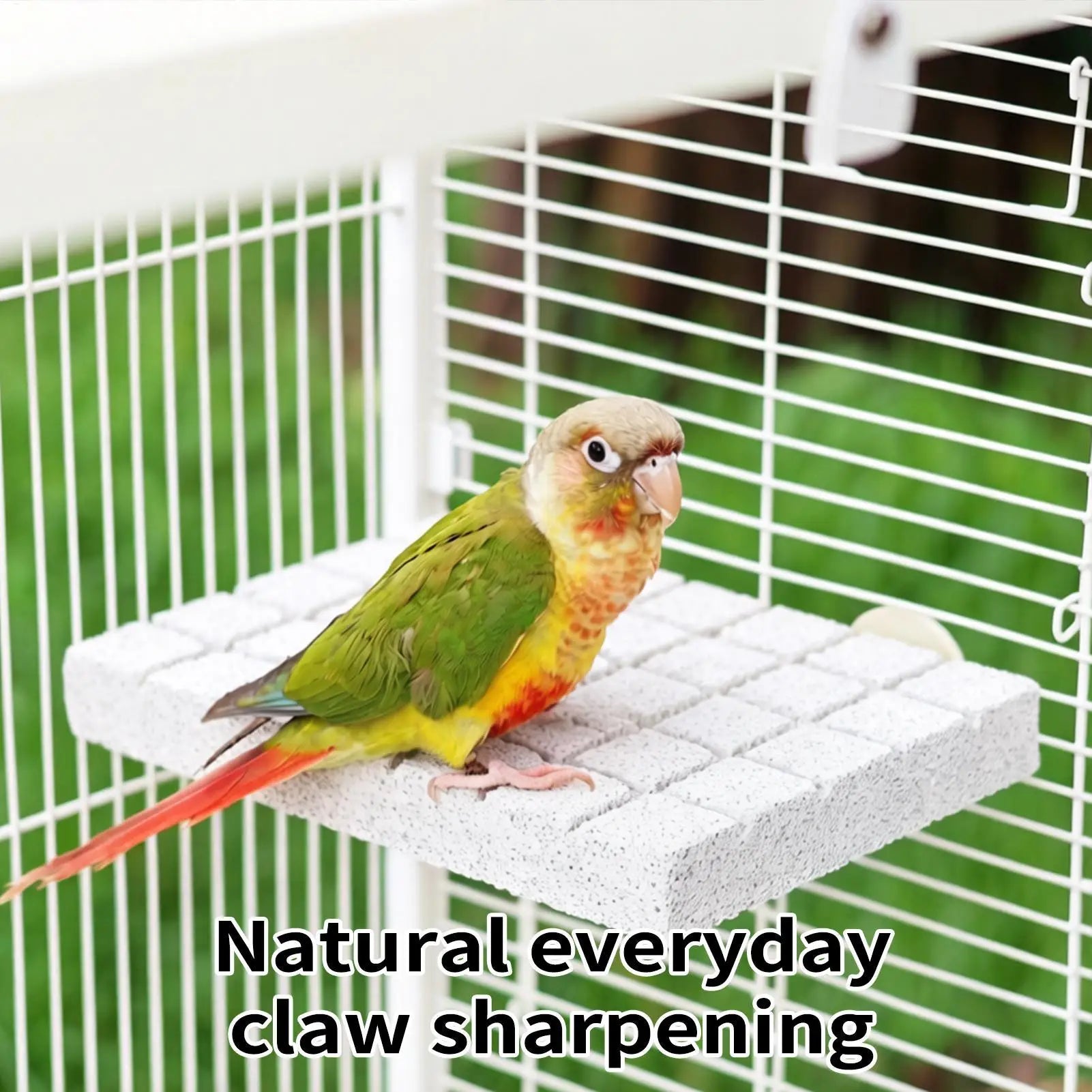Natural Volcanic Rock Bird Perch Parakeet Chewing Toy Grinding Stone