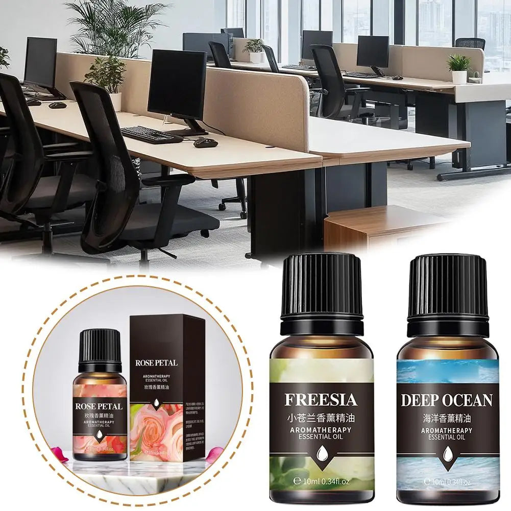 10ml Water-Soluble Essential Oils – 8 Scents for Diffuser Aromatherapy Essential Oil Zpaxo