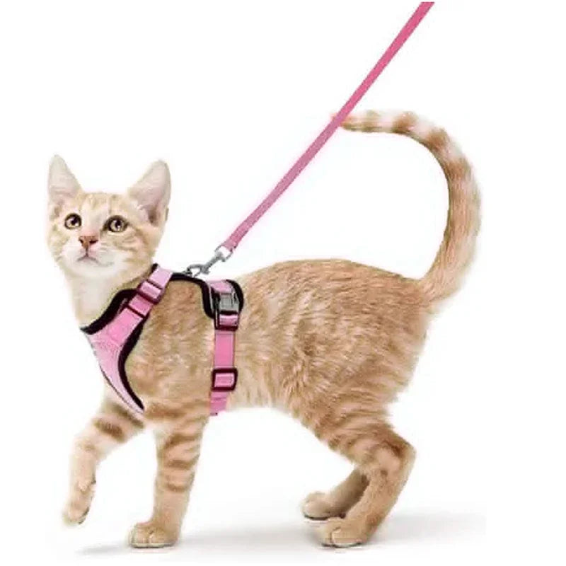 Summer Cat Dog Harness Lead Leash Adjustable Vest Polyester Mesh Breathable Harnesses Reflective for Small Dog Cat Lesah Zpaxo Pink XS