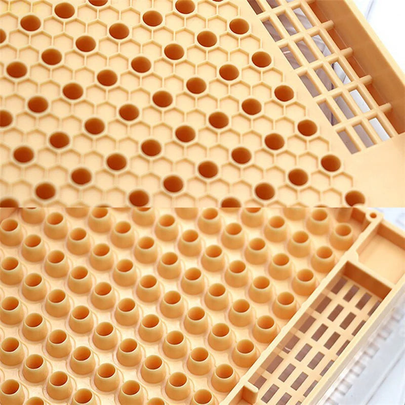 Bee Brood Box Queen Lay Eggs Cage Beekeeping Rearing Equipment