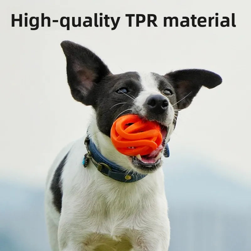 Durable Hollow Elastic Pet Dog Toys Ball Puppy Chew Teeth Cleaning Zpaxo