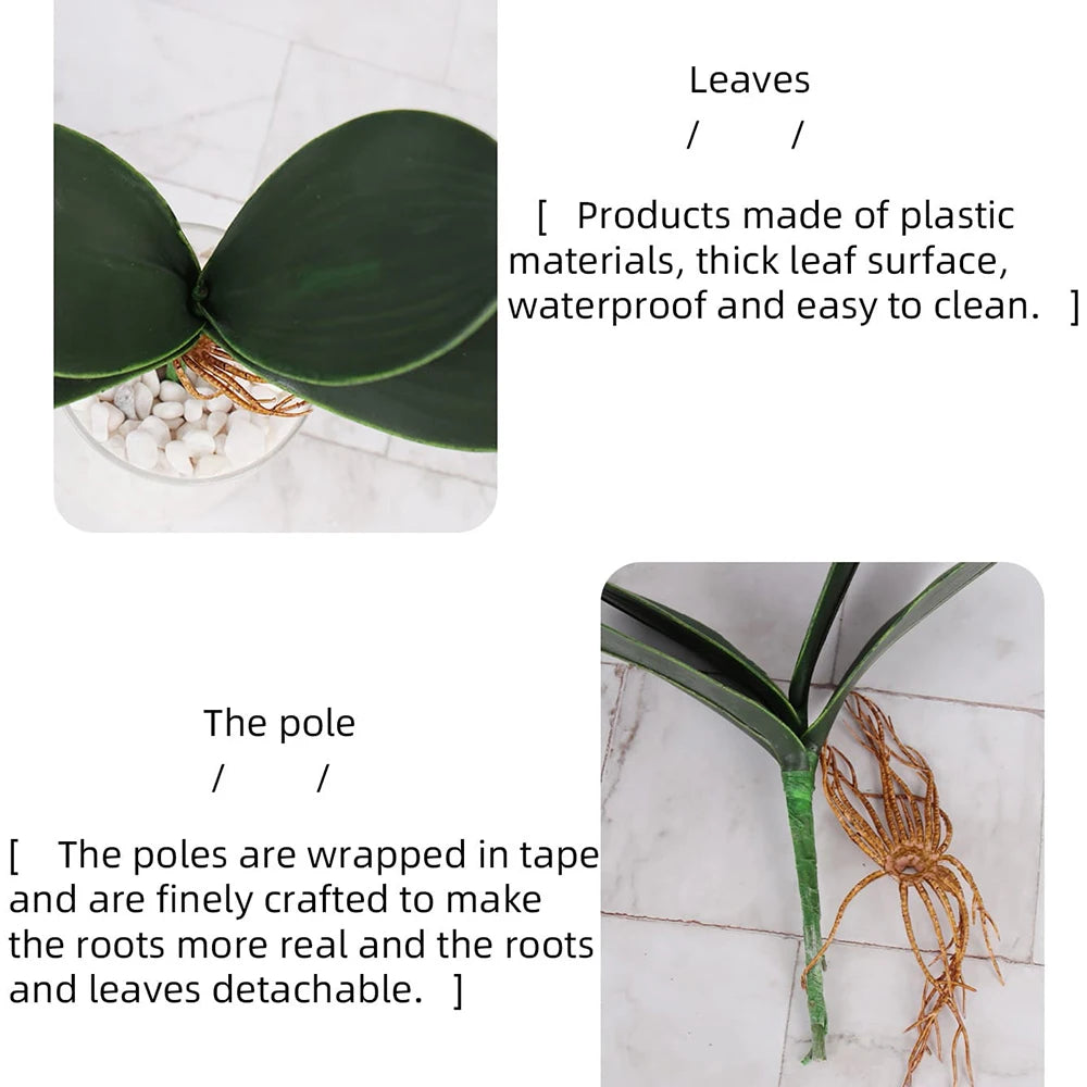Artificial Phalaenopsis Simulation Moth Orchid Leaf Real-touch Orchid Leaves Flower Plant Home Decoration Landscaping Zpaxo