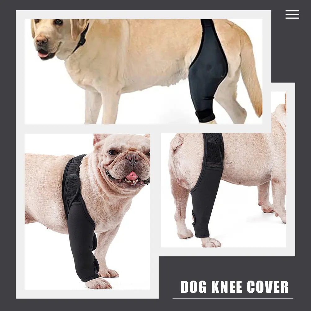 Dog Leg Brace Premium Neoprene Strap Injured Support Elastic