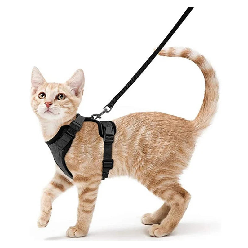 Cat Harness and Leash for Walking, Escape Proof Soft Adjustable Vest Harnesses for Cats, EasyControl Zpaxo black S