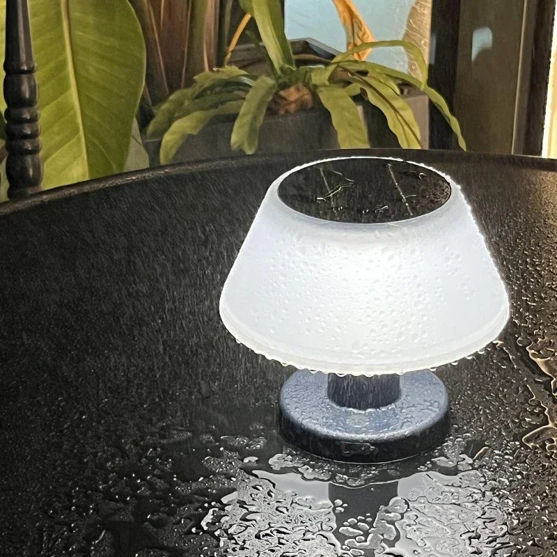 Outdoor Solar Lighting Garden USB Rechargeable Indoor Desk Bar Decor Zpaxo Black 3000K