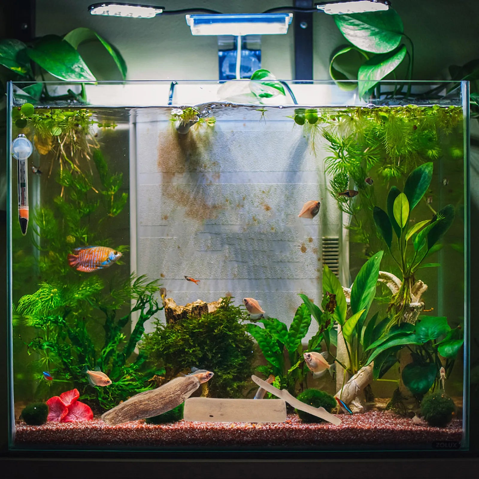 Unique Natural Driftwood Aquarium Fish Tank Decor DIY Crafts Rustic