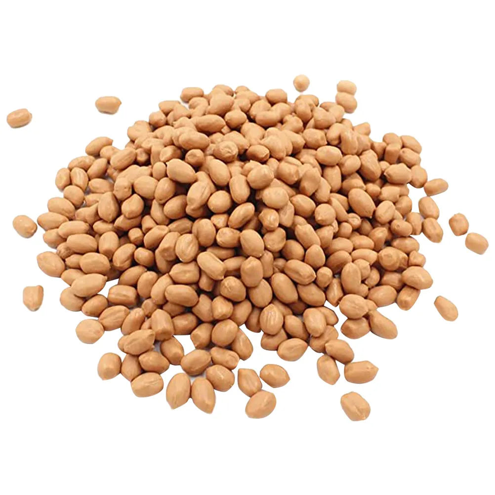 1 Bag Artificial Groundnut Kernels Detailed Fake Peanut Dried Fruit