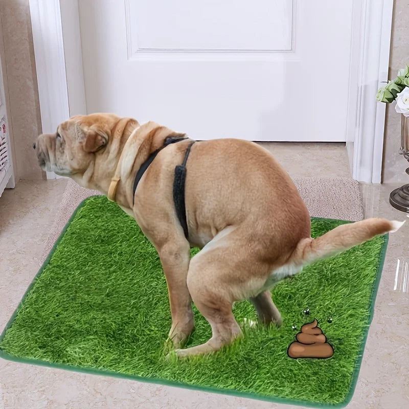 Ultimate Washable Dog Grass Mat - Reusable, Odor-Control Artificial Lawn for Pet Training, Easy-Clean Pee Pad Non-Slip Backing Zpaxo