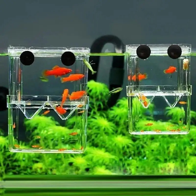 Aquarium Fish Breeder Box Durable Betta Tank Breeding Isolation