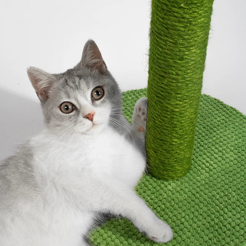 Cactus Cat Crawling Frame Cat Scratching Board Cat Scratching Pillar Integrated Pet Sisal Cat Toy Supplies Tongtian Pillar Zpaxo