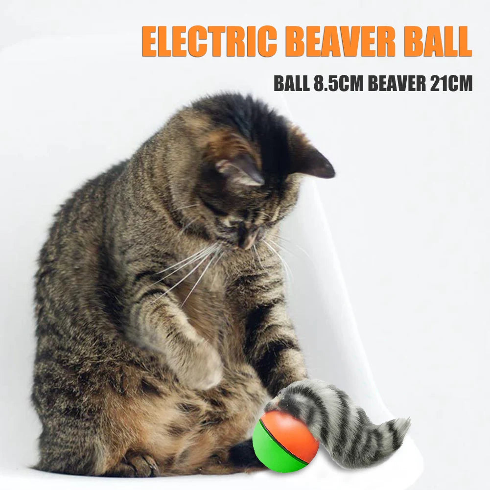 Electric Beaver Weasel Rolling Ball Pet Dog Cat Interactive Chasing Zpaxo