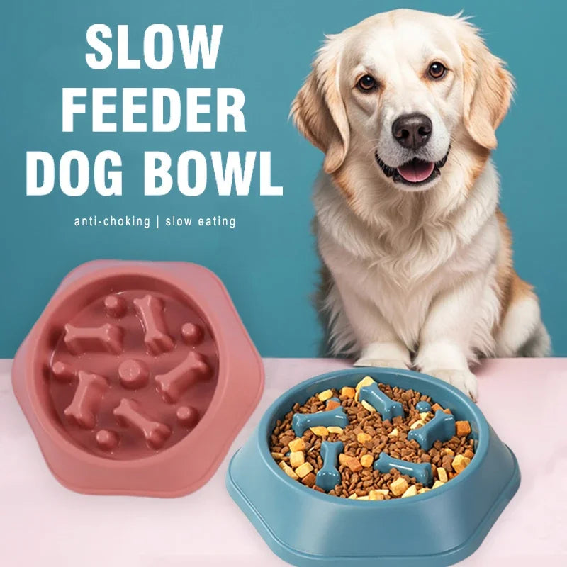 Slow Feeder Dog Bowl Anti-choking Puppy Food Anti-slip Pet Eating
