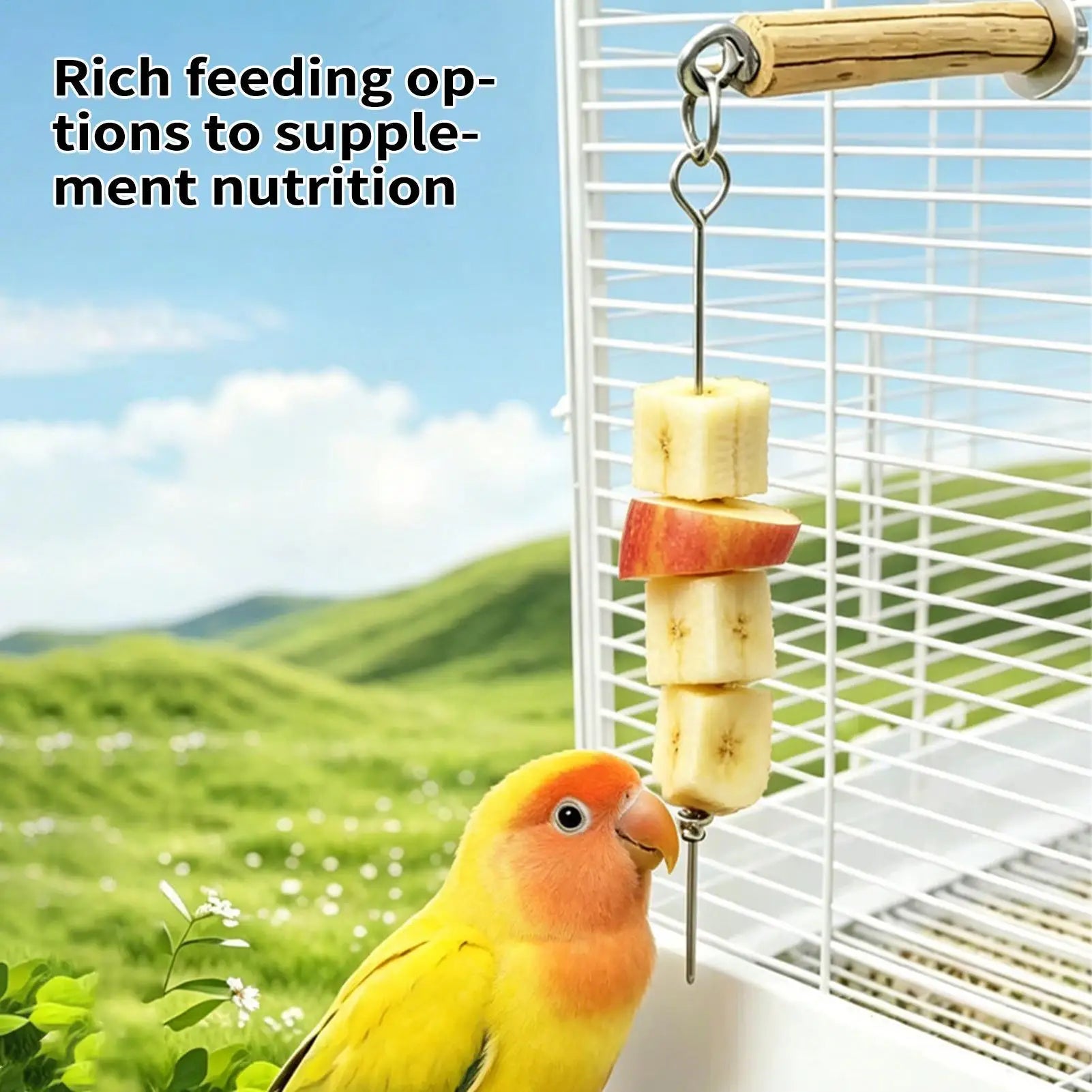 Parrot Feeder Stainless Steel Foraging Fork Wooden Perch Parakeet