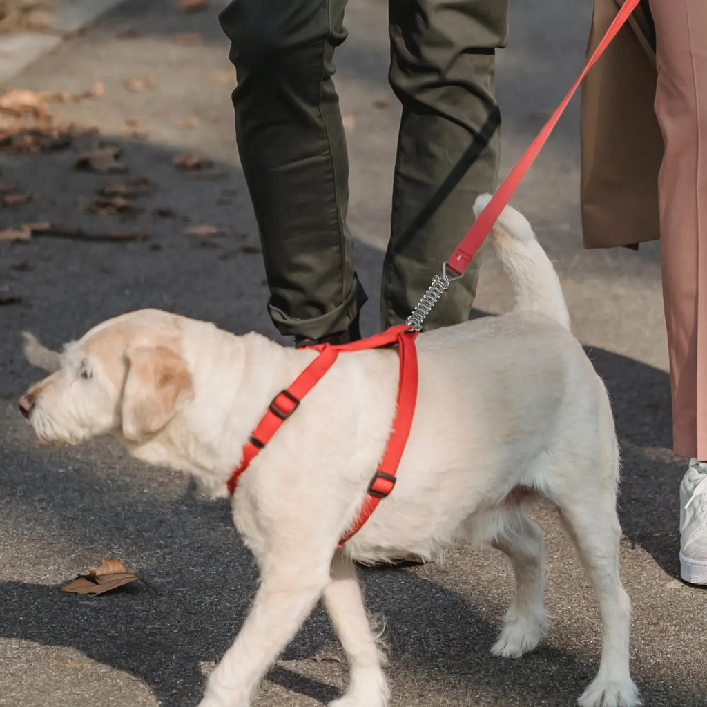 Stainless Steel Leash Spring Heavy Duty Dog Shock Absorber Large