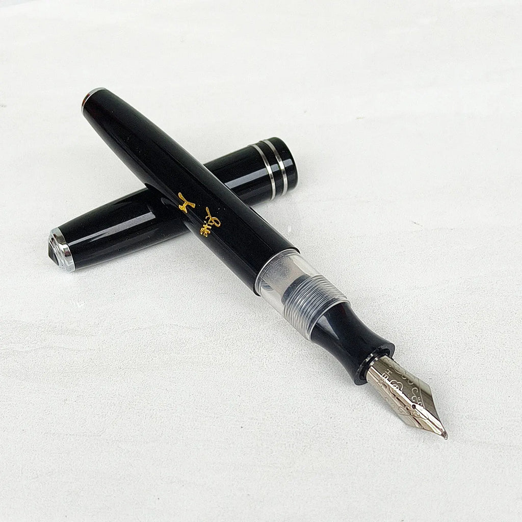 Retro Hero 856 Fountain Pen With Curved Nib, Twist Cap, Calligraphy Practice Pen For Teachers to Grade Homework Zpaxo