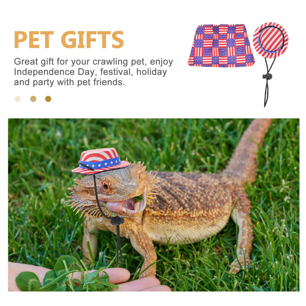 Star Hat Cloak Creative Wear-resistant Lizard Costume Independence