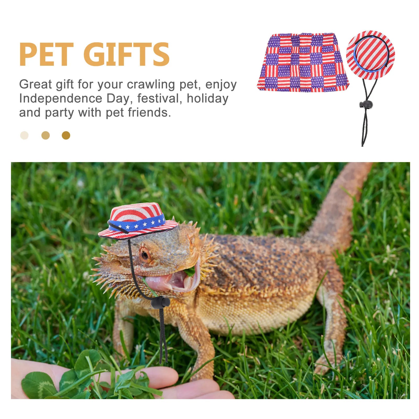 Star Hat Cloak Creative Wear-resistant Lizard Costume Independence