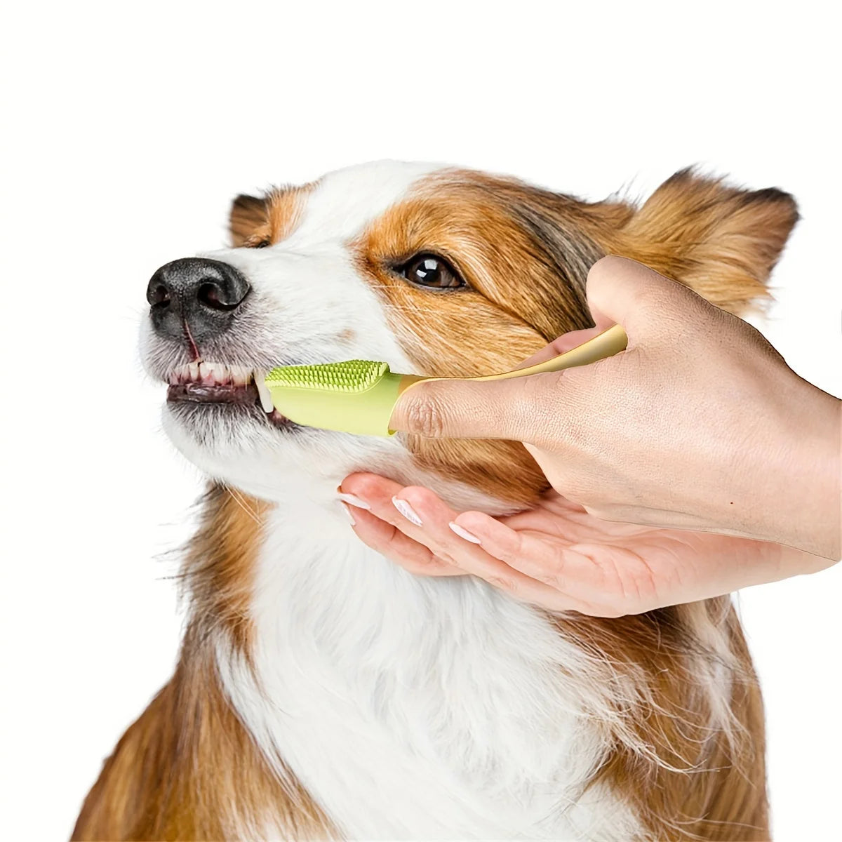 Dog Toothbrush Cleaning Finger Dogs Food Grade Silicone Cats Dental