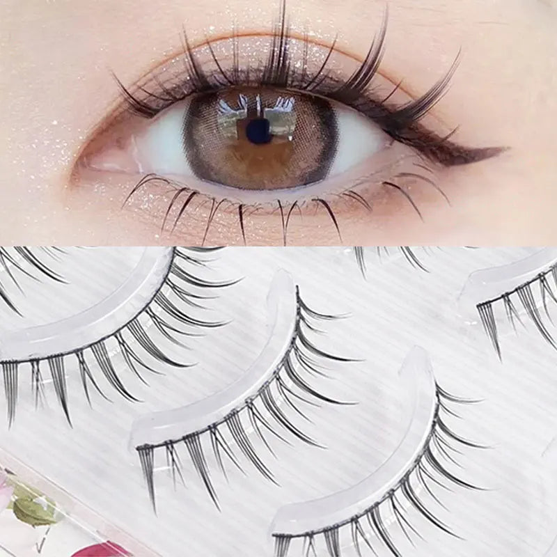 5 Pairs Natural False Eyelashes - Soft Comfortable Wispy Lashes, Daily/Party Lightweight Fake Eyelashes Zpaxo