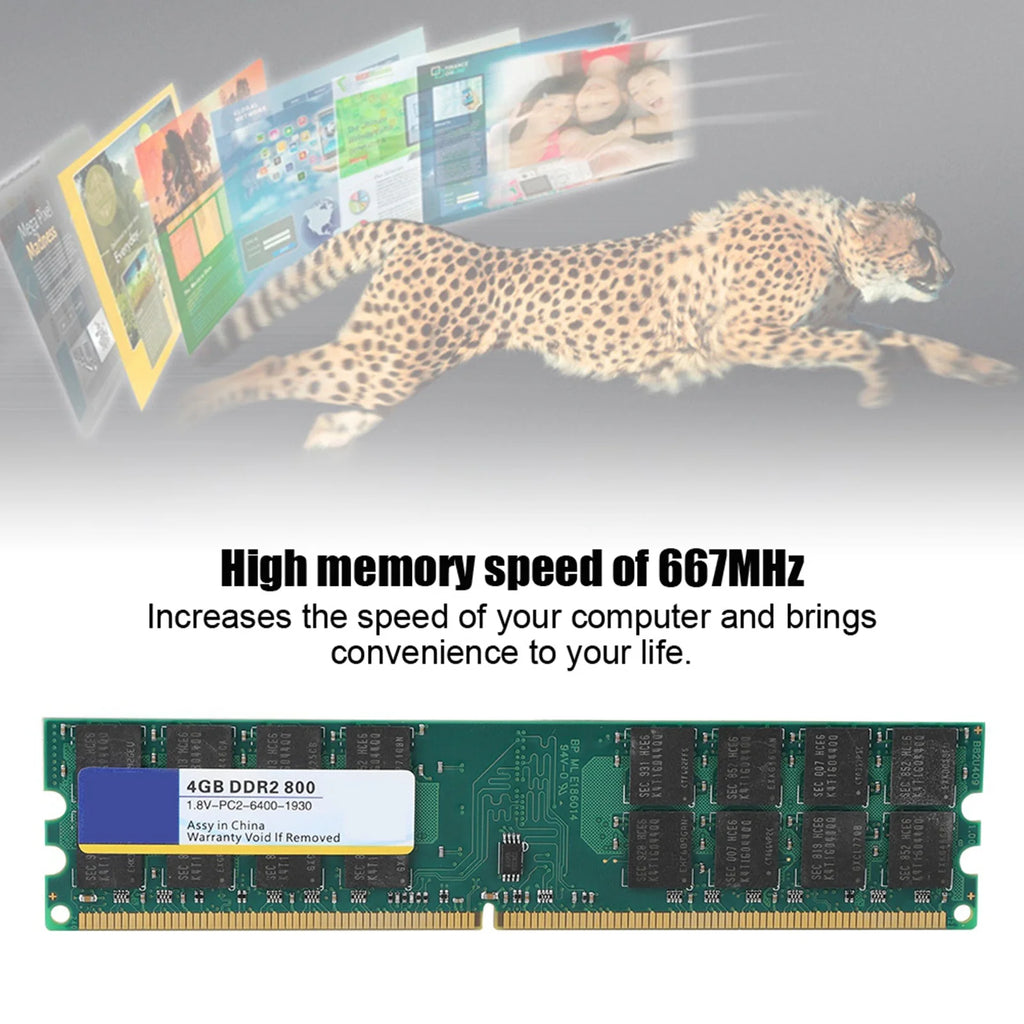 Xiede 800MHZ 240pin RAM Memory Designed DDR2 PC2-6400 Desktop