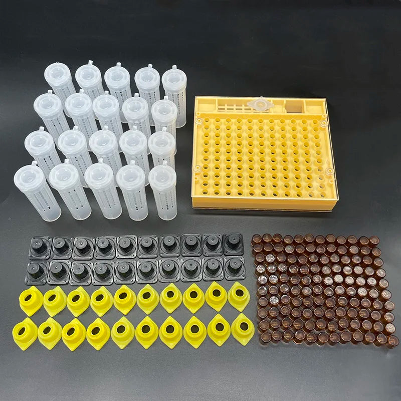 Queen Bee Rearing System Plastic Cell Cage Protection Cover Base Box