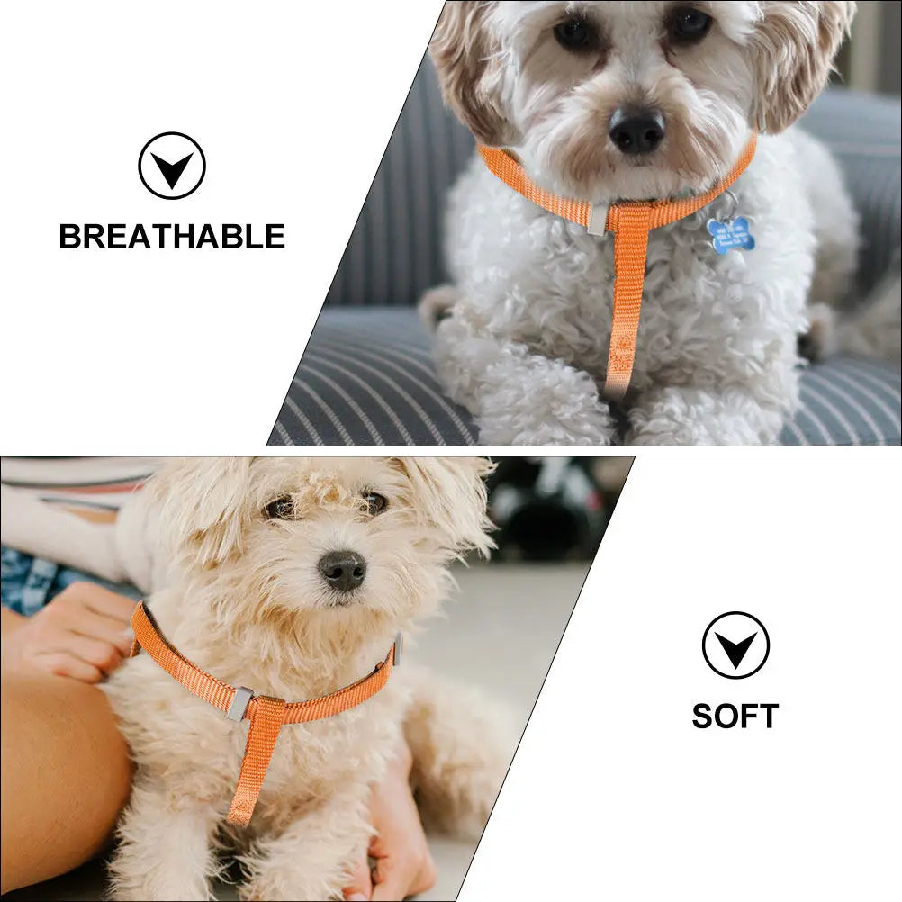 Pet Dog Harness Leash Cartoon Design Breathable Durable Puppy Walking