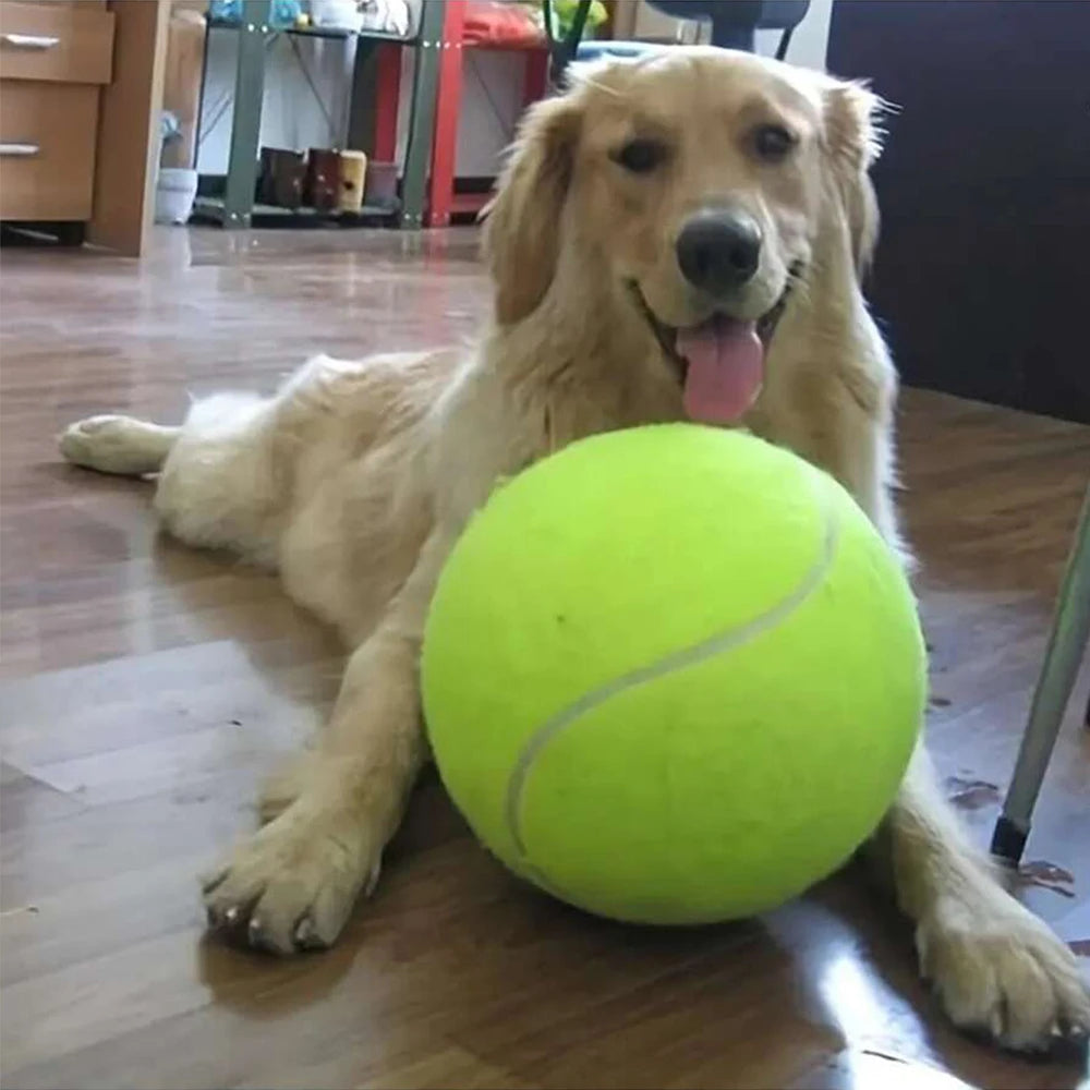 Dog Tennis Ball 24cm/9.5Inch Pet Tennis Ball Thrower For Training Interactive Large Dog Toy for Outdoor/Indoor Sports Dog Gift Zpaxo