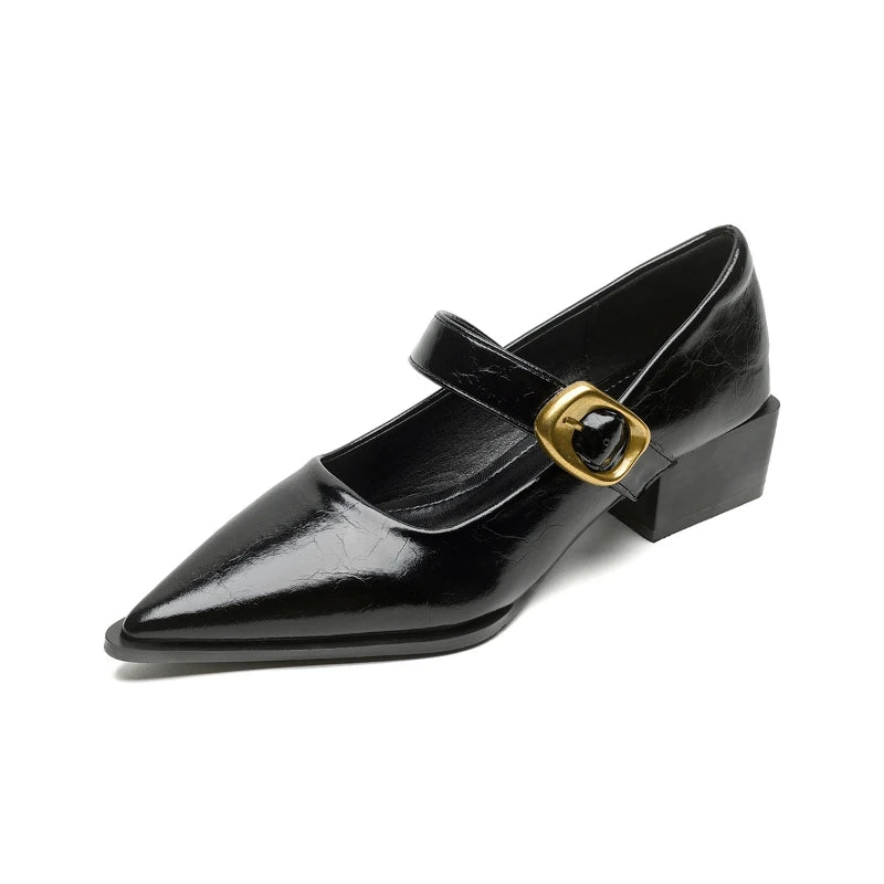 Women French Pointed Toe Mary Jane Shoes Block Heel 2025 Single Strap Zpaxo 108-8 Black 36 China Mainland