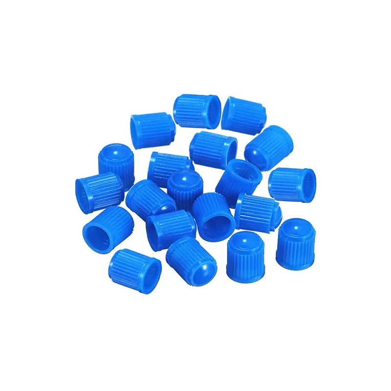 Plastic Tire Valve Dust Caps – 10–100 Pack | Schrader Valves