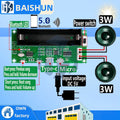 XH-A153 Lithium Battery Bluetooth 5 0 Dual-channel 2 Ch Channel Zpaxo Default Title