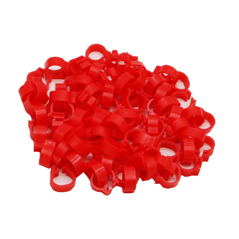 Pigeon Leg Poultry Dove Bird Chicks Duck Parrot Clip Rings Band Foot Zpaxo Red
