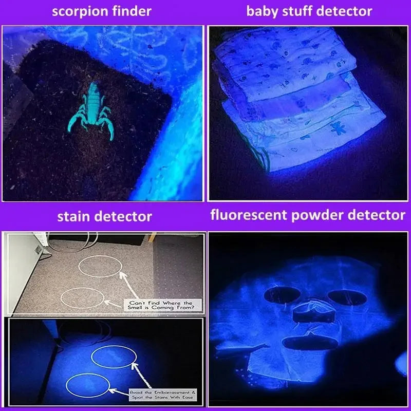 USB Rechargeable UV Flashlight Pet Urine Detection Resin Cured 395nm Zpaxo