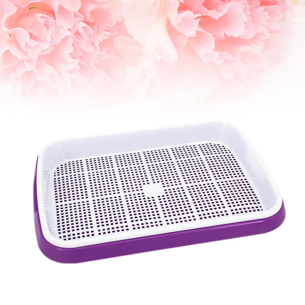 Premium Sprouter Tray Set Soil-Free Sky-Blue Bpa Free PP Material Sprouting Multiple Seeds Storage Tray Fruit Vegetable Holder Zpaxo