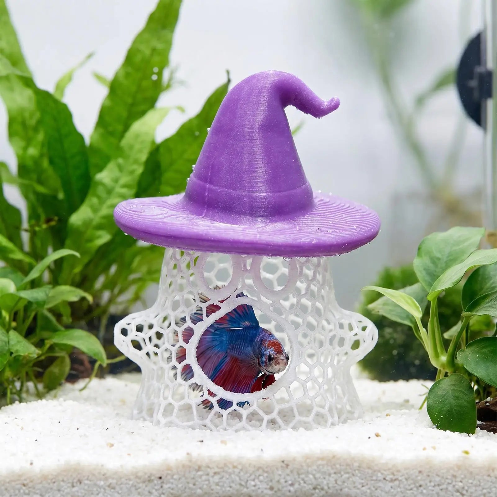 Betta Hammock & Shrimp Cave – Floating Aquarium Decor Aquarium Decor Zpaxo