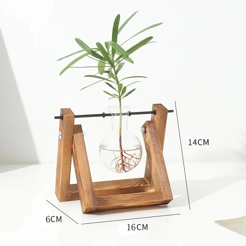 Plant Glass Container Wooden Stand 3 Bulb Planters Nurturing Station Zpaxo G3262A