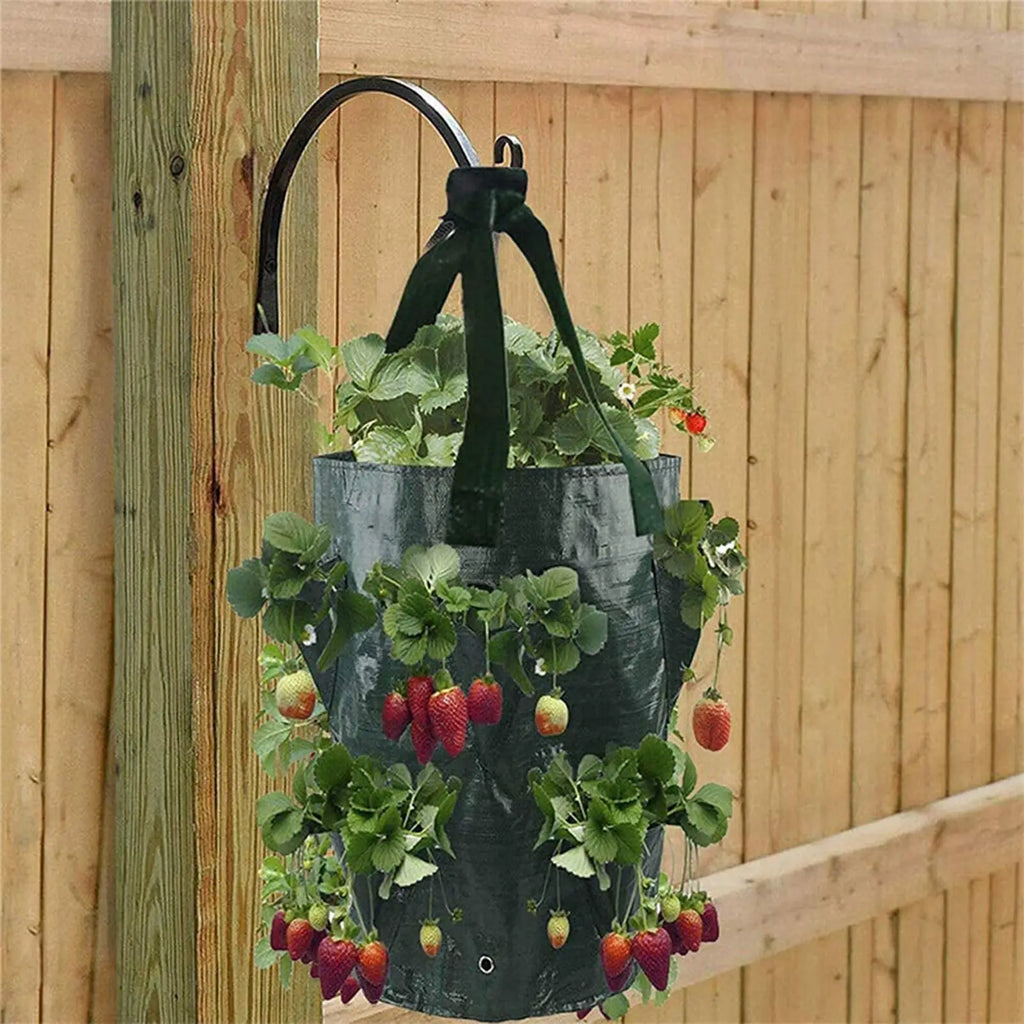 Strawberry Growing Containers 3 Vegetable Planting Bags Gallon Patio