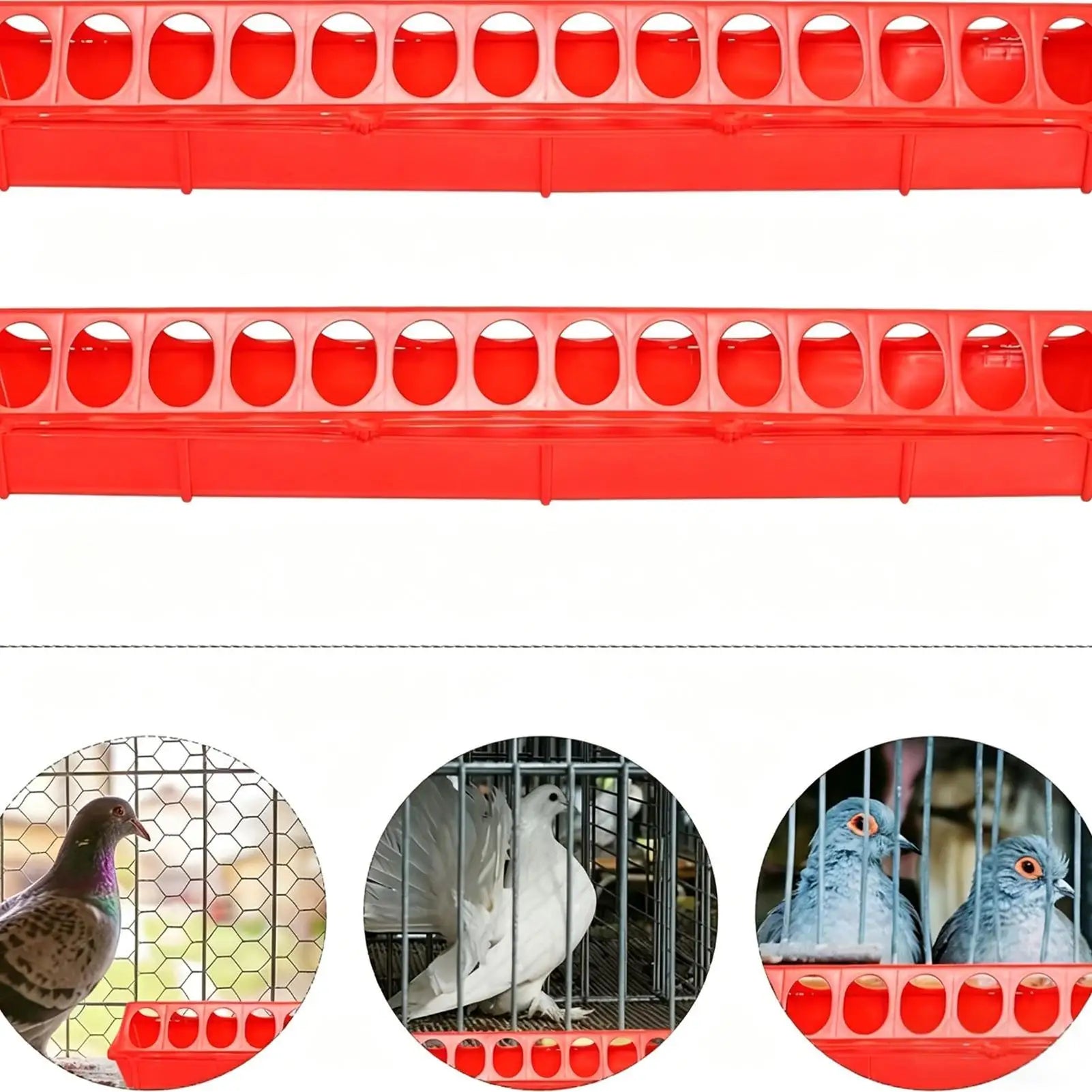 Multi-Hole Chick Brooder Feeding Trough, Anti-Waste Poultry Feeder for Chickens, Quails & Leghorns, Durable Farming Accessory Zpaxo