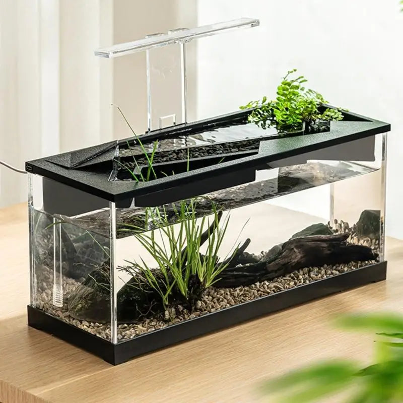 Small Aquarium With Heating Pad LED Quiet Filtration System Acrylic Tanks For Bettas For Fish Ecosystem Zpaxo