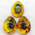 Mineral Stones Home Decor Insects Amber Gemstone DIY Hand Crafts Gift And Insects Amber Gemstone Scorpion Natural 1PC Zpaxo Style3