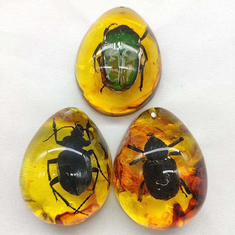 Mineral Stones Home Decor Insects Amber Gemstone DIY Hand Crafts Gift And Insects Amber Gemstone Scorpion Natural 1PC Zpaxo Style3