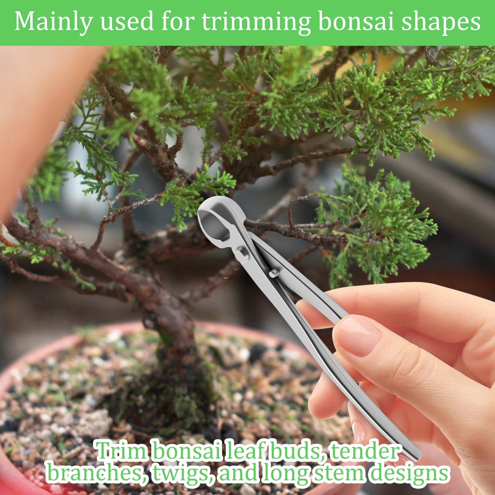 Bonsai Grooming Kit Stainless Steel Wear Resistant Bonsai Tree Kit Tools Time Saving Pruning Kit with Ergonomic Long Handle 2025 Zpaxo