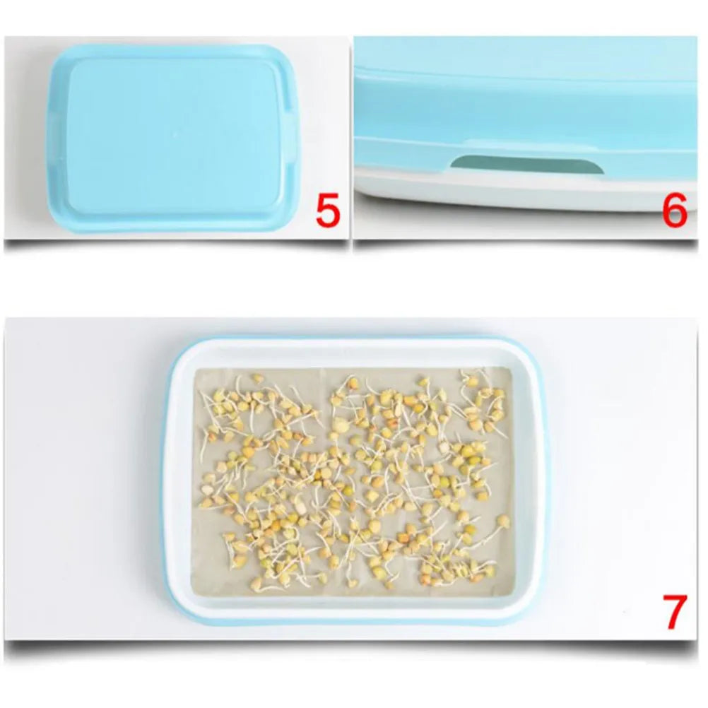 Premium Sprouter Tray Set Soil-Free Sky-Blue Bpa Free PP Material Sprouting Multiple Seeds Storage Tray Fruit Vegetable Holder Zpaxo