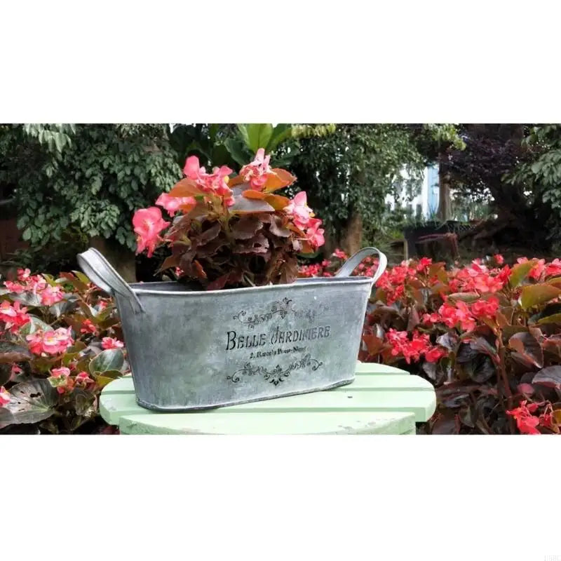 Desk Decoration Dlower Vase Vintage Home Plant Pots House Zpaxo