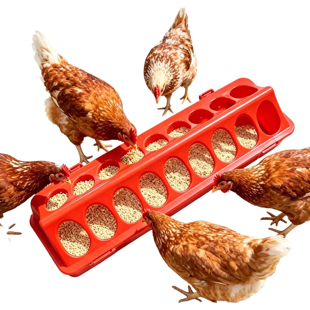 Multi-Hole Chick Brooder Feeding Trough, Anti-Waste Poultry Feeder for Chickens, Quails & Leghorns, Durable Farming Accessory Zpaxo