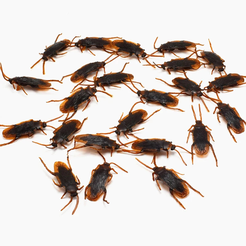 Realistic Cockroach Model Novelty Prop Toy Pranking April Fools' Day