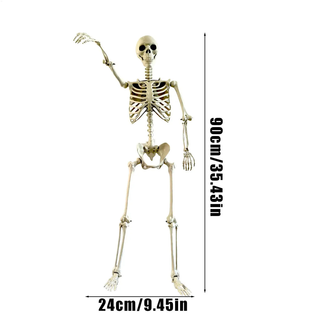 Halloween Realistic Body Bones Life Human Skeleton Posable Joints