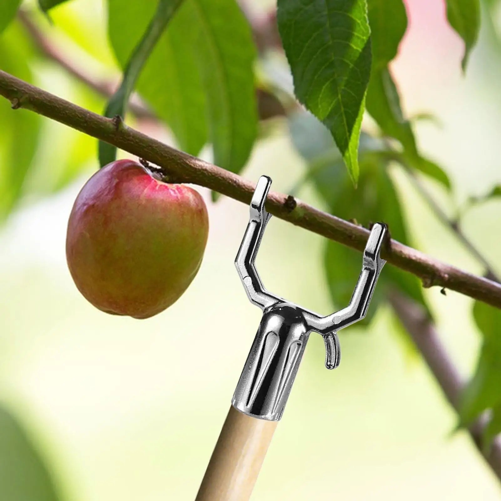 5Pcs Tree Branch Support Tree Limb Holder Fruit Tree Support Stand Black Green Tree Braces For Leaning Trees Plants Reusable Zpaxo