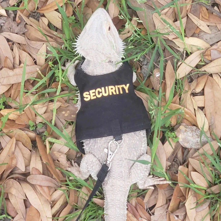 Lizard leash crawling pet outdoor chest harness chameleon squirrel leash clothing small pet supplies Zpaxo